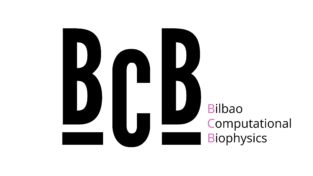 Bilbao Computational Biophysics
